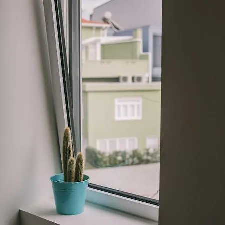 House / Casa * פורטו